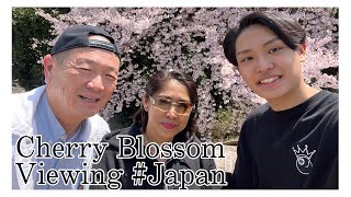 Cherry Blossom Viewing 2024