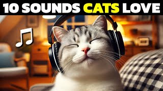 10 Sounds Cats Love To Hear The Most