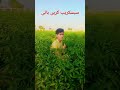 تجھے مرچی لاگی تو میں کیا کروں 🌶️🌶️🫑🫑 دوستوں اس ویڈیو کو لائک اور سبسکرائب ضرور کریں 🙏🙏