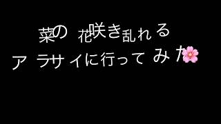 荒川サイクリングロードに行ってみた