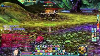 Aion Assassin 2.5 PvP Meowie