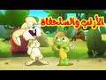 الأرنب والسلحفاة - طيور بيبي Toyor Baby