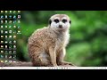 MCA cloud practical Install Google App Engine. Create hello world using python