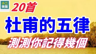 《杜甫的律詩王國》：五律20首的魅力，測測你記得幾個！