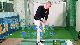 飛ばしの低く長くヘッドを動かすドリル！GOLF生活　簡単に300ヤード　ゴルフ生活３００ヤードは可能です