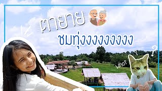 Vlog #3 | ถ่ายรูป ชมทุ่ง | ตายายชมทุ่ง | อุบลราชธานี | Ubon Ratchathani | Namnueng Station