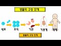 중2과학 5단원 1차시 생물의 구성단계