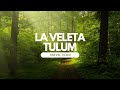 La Veleta Tulum - What's It Really Like?   The Real Side Of Tulum New Video