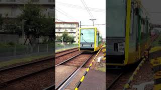 【鹿児島市電7504号】二軒茶屋4号踏切を通過します。#shorts #鹿児島市電 ＃tram