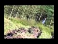 Black eyed girl Cannock Chase ghost - quadcopter drone footage review