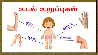 மனித உடல் உறுப்புகள்| Learn body parts name in Tamil and English for kids and children #education