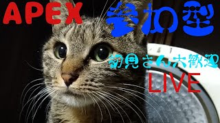 【APEX 】【参加型】【ランクメイン】かわゆーと2視点同時配信！笑いを求めて皆と楽しく遊びたい！【PS5版】【ガパオパンサー】