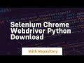 selenium chrome webdriver python download