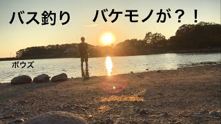 【バス釣り】秋のバケモノ釣り！【10月】