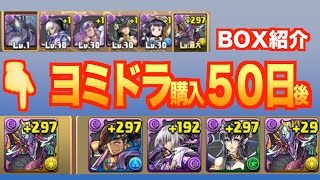 【パズドラ】ヨミドラ購入から５０日後【無課金BOX紹介】じゃじゃーん菊池