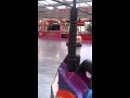 Bumper Cars