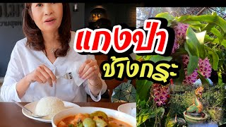 แกงป่า ช้างกระ อาหารไทย เดินหากล้วยไม้สกุลช้าง ตลาดต้นไม้