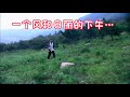 #04 一个风和日丽的下午｜Funny Video |搞笑视频