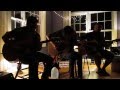 Be There For Summer - Aaron David & The Wise Owls  (Live @ Broomstick Barn House in Green Lane, PA)