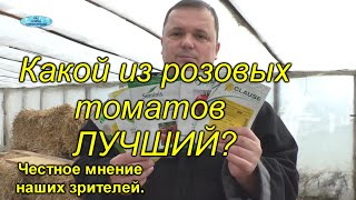 Розовые высокорослые томаты - какие из них самые лучшие?