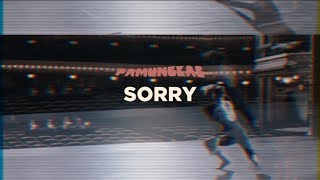 Pamungkas - Sorry