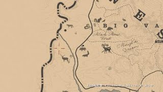 Red Dead Redemption 2_伝説のバッグの素材　クーガーの毛皮