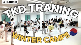 Korean Taekwondo Winter Camp. Joint Training Week 2. 미국에서 국가대표 명학태권도장으로 동계훈련을 왔습니다. 합동훈련 2주차!