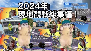 中日ファンが2024年の現地観戦を振り返っただけの話【猫ミーム】　#猫ミーム #中日ドラゴンズ