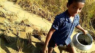 Amazing fishing video 2020 in village | little boy catching hunting fish | part 1 |