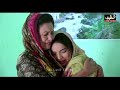 dardan jo darya episode 205 sindhi drama sindhi dramas 2022