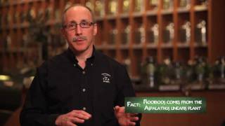 Introduction to Rooibos Tea, by The Chief Leaf, Tim Smith of \