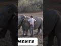 AMAZING RHINO, LIFE SAVING WORK IN AFRICA. Watch 3-minute full video inside channel.