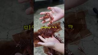 전설의 그 썬팅 필름 쓰리에므 RX 그때는 맞고 지금은 틀리다!!