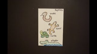 Let's Draw Animal Classification-Reptiles!