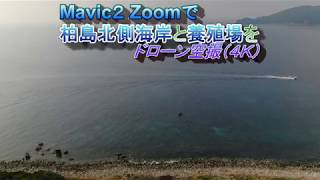 Mavic2 Zoomで柏島北側海岸と養殖場をドローン空撮4K