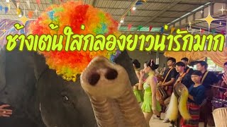 สังคีตอีสานแห่ช้างซุ้มพลายบัวบานแก้บน ณ หมู่บ้านช้าง อ.ท่าตูม จ.สุรินทร์