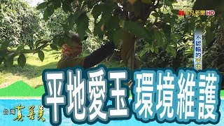 【台灣真善美】不認輸的“平地愛玉” 2018.08.12【756-4集】