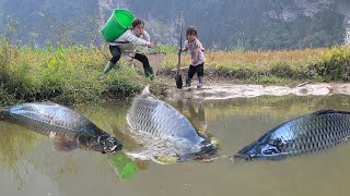 Meet giant fish in a puddle. Use bamboo and primitive tools to catch fish. Caught many giant fish