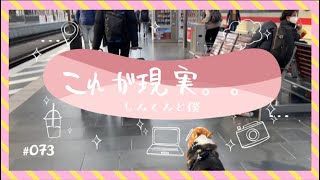 #073 【早速トラブル発生】これが海外引っ越しのリアルです😭