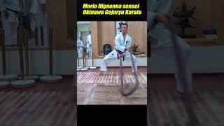 Twist off the opponent's head! Okinawa Karate  technique.