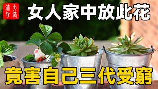 風水師勸誡：此花千萬別養在家，女人不聽，竟害自己三代受窮！現在知道還不晚！#大佬你好啊