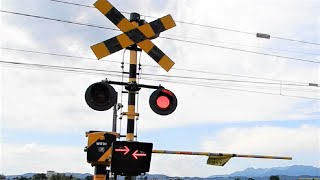 【踏切】色々なしゃべる踏切 (Railroad crossing in Japan)