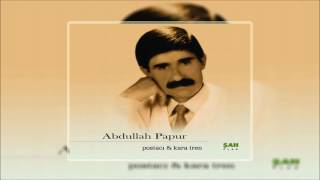 Abdullah Papur \u0026 Aşkın Badesini - [ Official Music © ŞAH PLAK ]