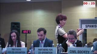 Daniel Ioannisyan's intervention at HDIM2017 - Freedom of expression