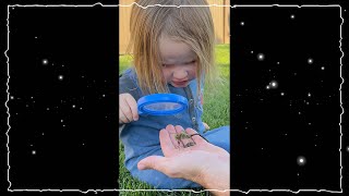 CATCHiNG BUGS with NiKO!! Niko scares Mom and Adley with a Dragonfly #Shorts