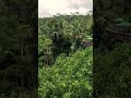 Jungle restaurant on Bali #bali #indonesia #jungle #restaurant #views #shorts #lookout #foodporn