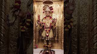 રંગ મહોલ ના શ્રી ઘનશ્યામ મહારાજ ના દર્શન#shri swaminarayan darsan suptember 23,2023