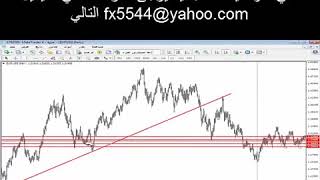 اقوى ورشة رقمي على مر العصور