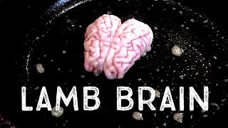 Farmstead Meatsmith: How to Harvest and Cook Lamb Brain