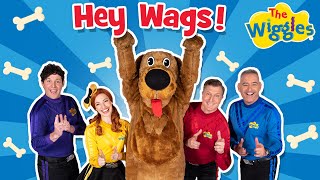 Hey Wags! 🐶 The Wiggles and Wags the Dog